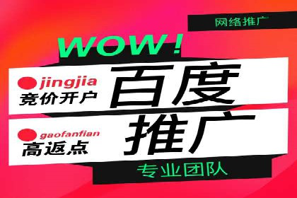 成功案例：百度推广代理助力电商突破